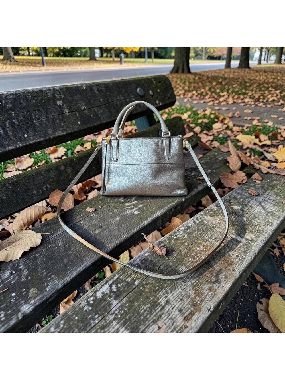 Coach Metallic Leather Crossbody Bag 2014